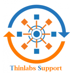 Thinlabs Support Consultation (Standard Business Hours)